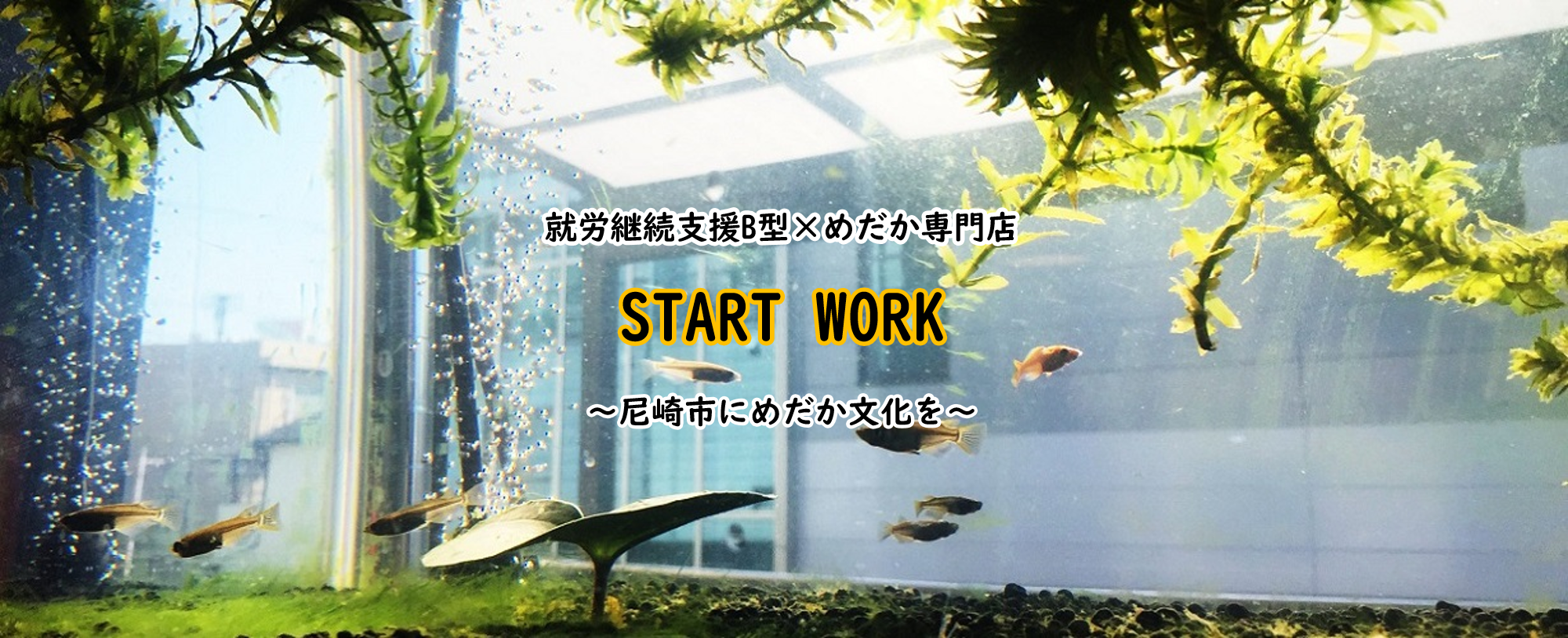 尼崎市の就労継続支援B型 START WORK